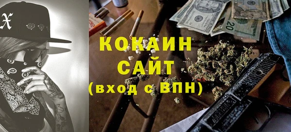 ешки Ельня